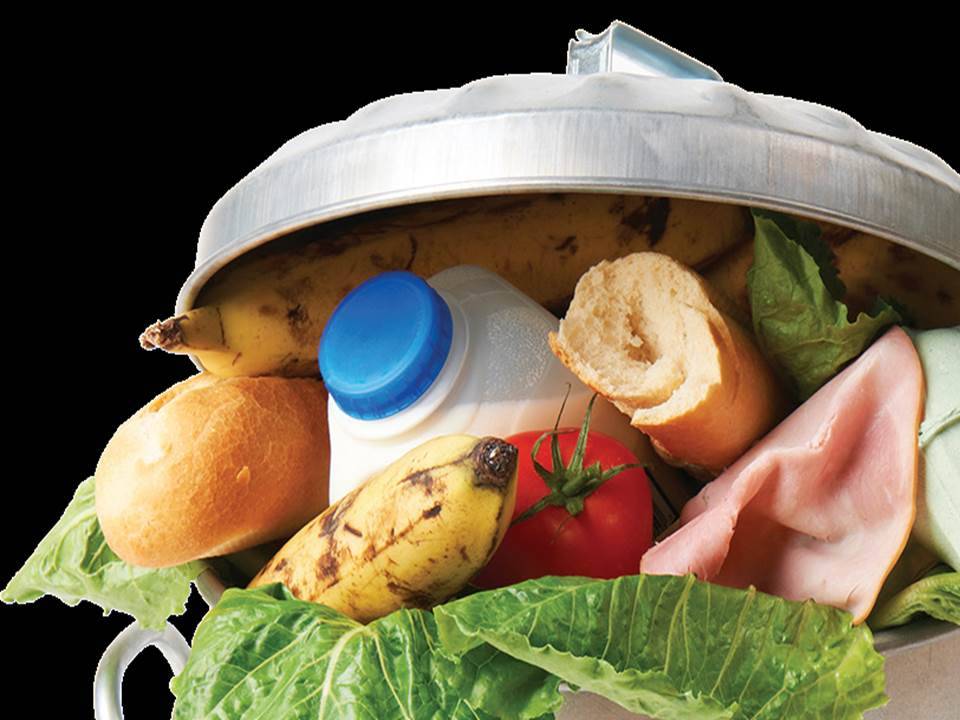 Love Food? Hate Waste